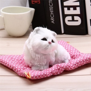 Bambola gatto di peluche bianco Gatto di peluche Animali di peluche Materiali: Cotone
