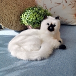 Bambola gatto di peluche bianco Gatto di peluche animale Fascia d'età: > 2 anni