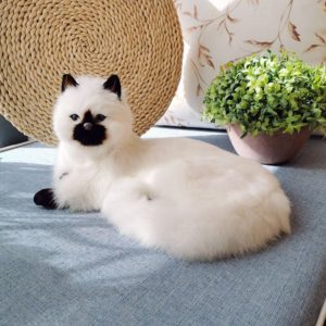 Bambola gatto di peluche bianco Gatto di peluche animale Fascia d'età: > 2 anni